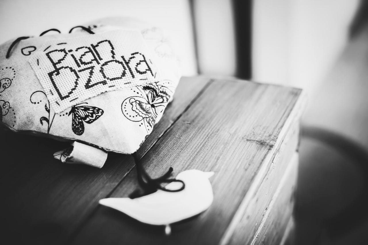 Ca 'D Langa B&B Treiso Luaran gambar
